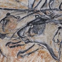 Chauvet 28 : Panneau des lions (détail)