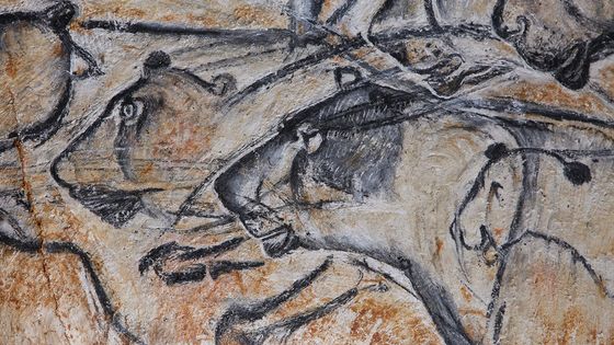 Chauvet 28 : Panneau des lions (détail) - Patrick Aventurier-Caverne du Pont d'Arc
