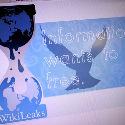 L'information veut être libre / Économiseur d'écran du site WikiLeaks en 2010
