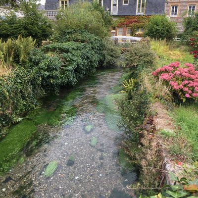Veules-les-Roses