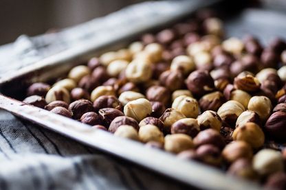 Des noisettes grillées Des noisettes grillées
