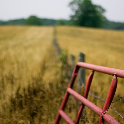 Ferme dans le Kentucky