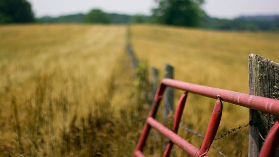 Ferme dans le Kentucky ©Getty - Jonathan D. Goforth