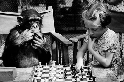 Partie d'échecs Partie d'échecs