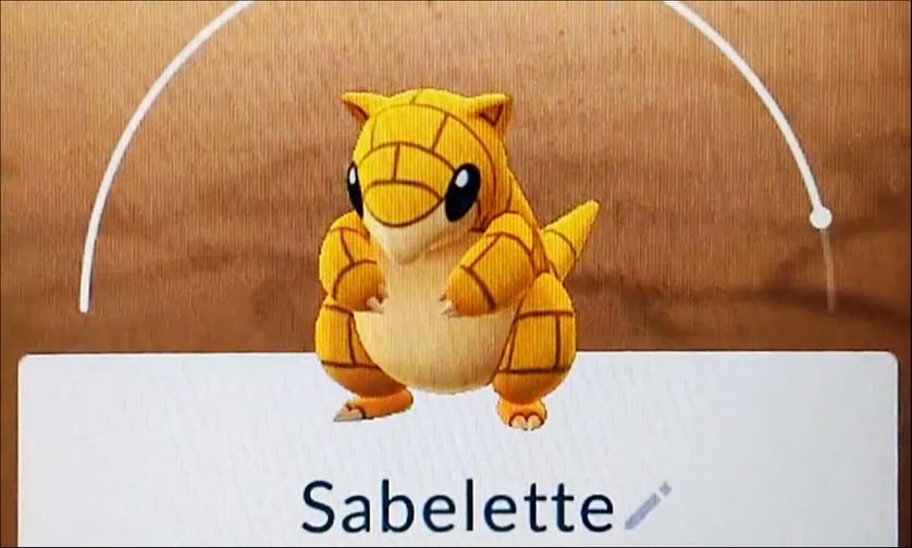 Le fameux Pokémon qui ressemble à un pangolin avec son corps cuirassé jaune et peut lui aussi s'enrouler sur lui-même pour repousser les attaques
