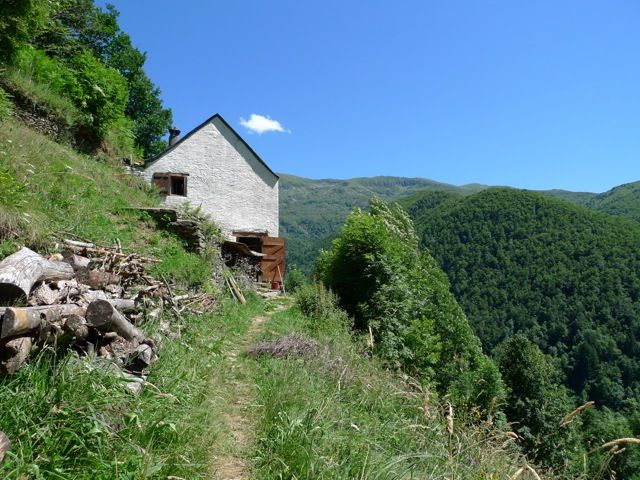 La bergerie en été