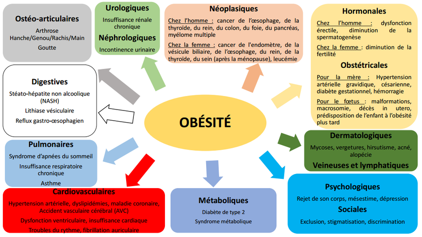 du obesite du obesite
