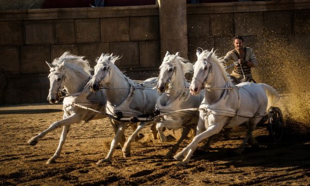 Aucun cheval n'a été blessé pendant les prises de vue ©