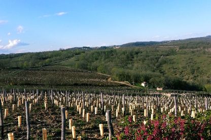Les terres du Lot Les terres du Lot