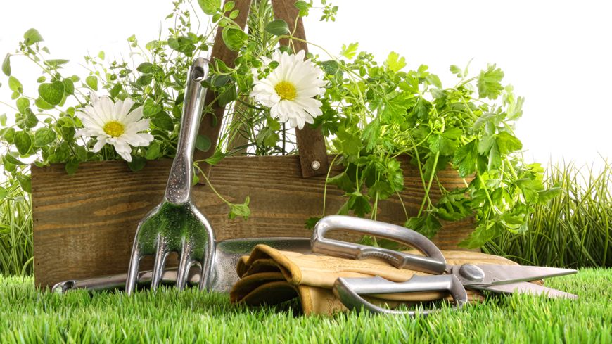 Jardinage