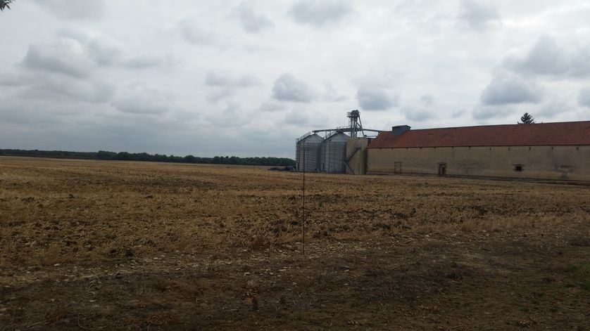 La Tournancière, à Vendoeuvres dans l'Indre, exploitation vendue à un fonds chinois. Personne n'y travaille ni n'y vit.