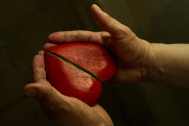 Estelle Delesalle et Jean-Marc Ferrari, "De Amore - 2, l'Ermitage des consolations, 2016"