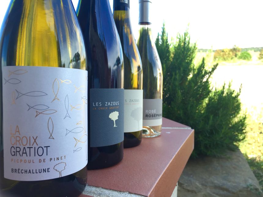 Bréchallune, Les Zazous, Rosé Roséphine - les vins de la Croix Gratiot, subtil assemblage du sud