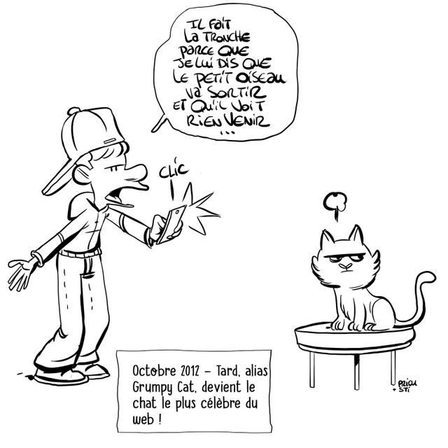 Grumpy cat devient le chat le plus célèbre du net