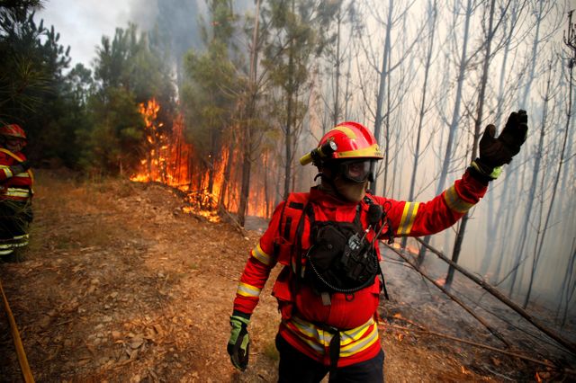 Intervention des pompiers sur un feu de forêt à Sao Pedro do Sul