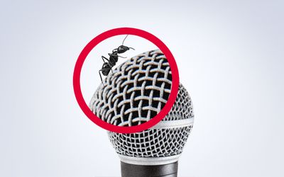 illustration pour "Le Zoom de la rédaction"