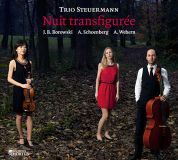 Schoenberg Steuerman Trio