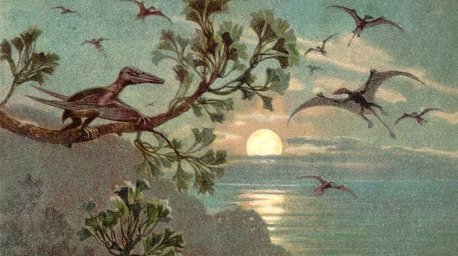 Rhamphorhynchus et Pterodactylus