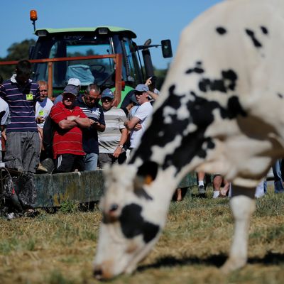 Manifestation d'agriculteurs organisée par la FNSEA bloquant l'entrée du groupe laitier et fromager Lactalis.