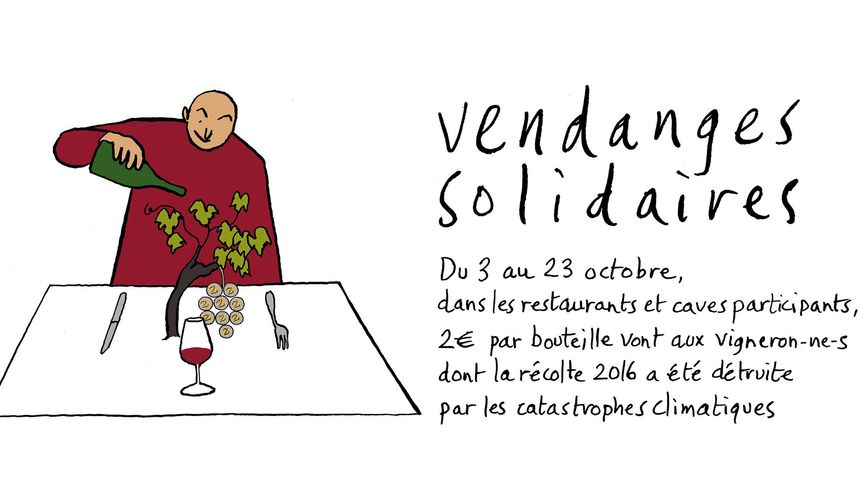 Vendanges solidaires du 3 au 23 octobre