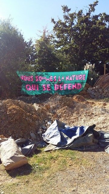 "Nous sommes la nature qui se défend" à Notre-Dame-des-Landes