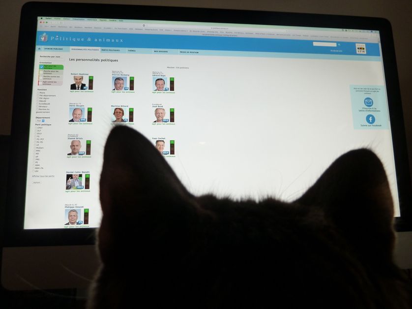 Le site Politique & animaux permet de noter l'action des personnalités politiques concernant la protection animale