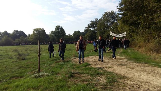 Dans le bocage