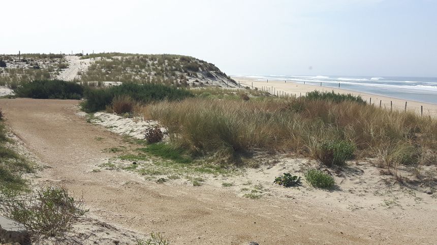 la dune à Biscarrosse Plage