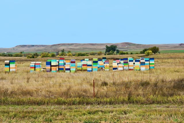Ruches colorés le long de la route State Highway 27 dans le Dakota du Sud, USA