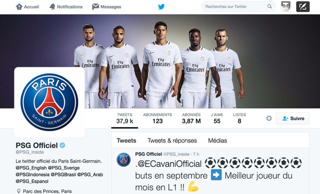 Depuis 2011, le Qatar préside aux destinées du PSG.