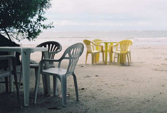 L'été sans fin