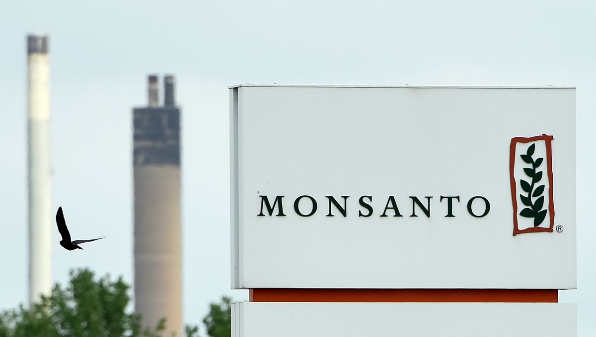Pourquoi Monsanto estil accusé 