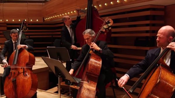 Une octobasse à l’Orchestre symphonique de Montréal
