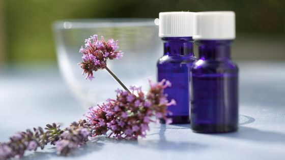 La médecine douce et aromatique ©Maxppp - AltoPress