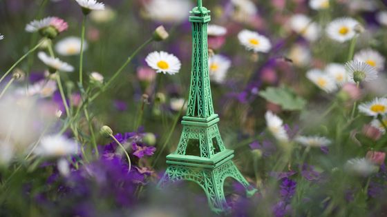 L’Accord de Paris signé lors de la COP 21 entrera en vigueur le 4 novembre prochain ©AFP - JOEL SAGET