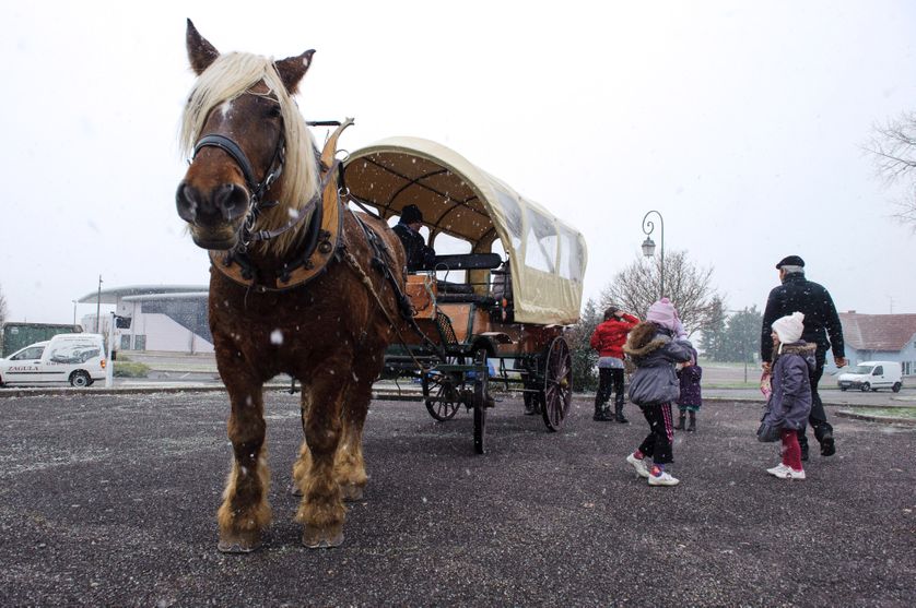 A Ungersheim, Le cheval Richelieu accompagne les enfants à l'école