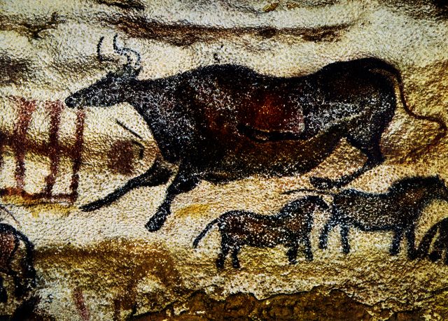 La vache noire dans la grotte de Lascaux