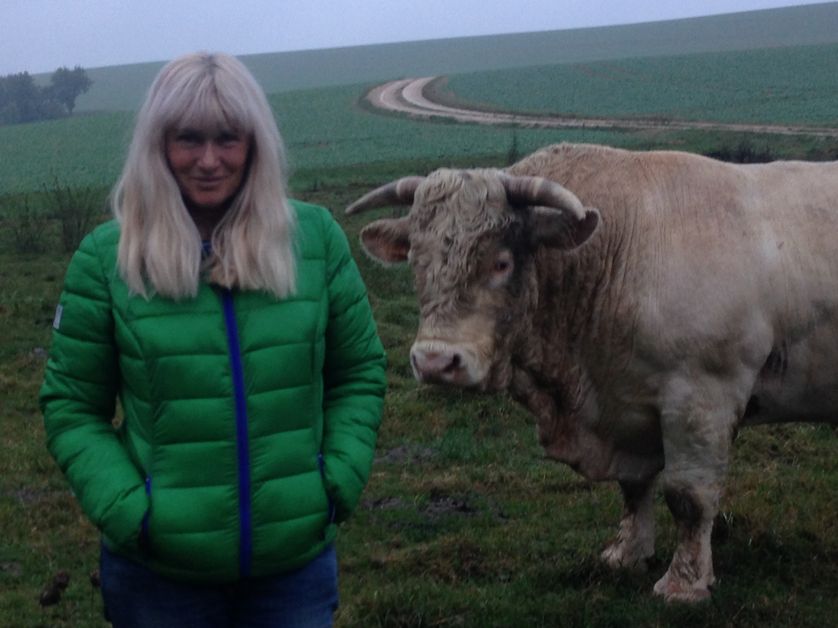 Gloria Friedmann pour son exposition "Tableaux vivants" au musée de la chasse et de la nature du 8 novembre 2016 au 12 février 2017