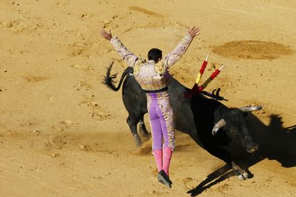Matador vu de dos pendant une corrida Matador vu de dos pendant une corrida