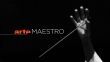 Maestro