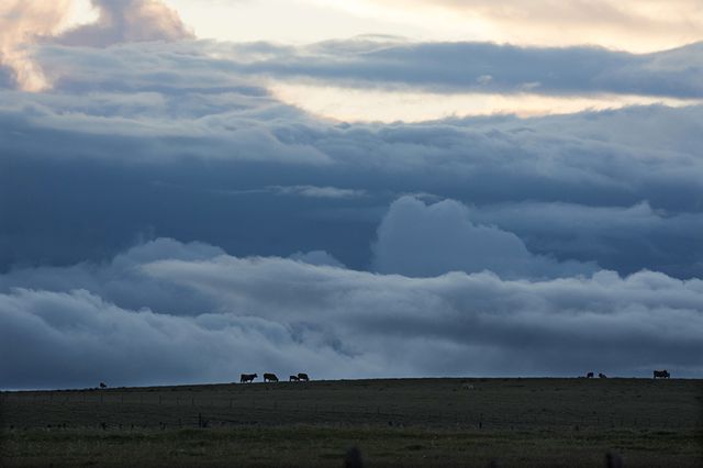 Montée de l'orage au-dessus des pâturages