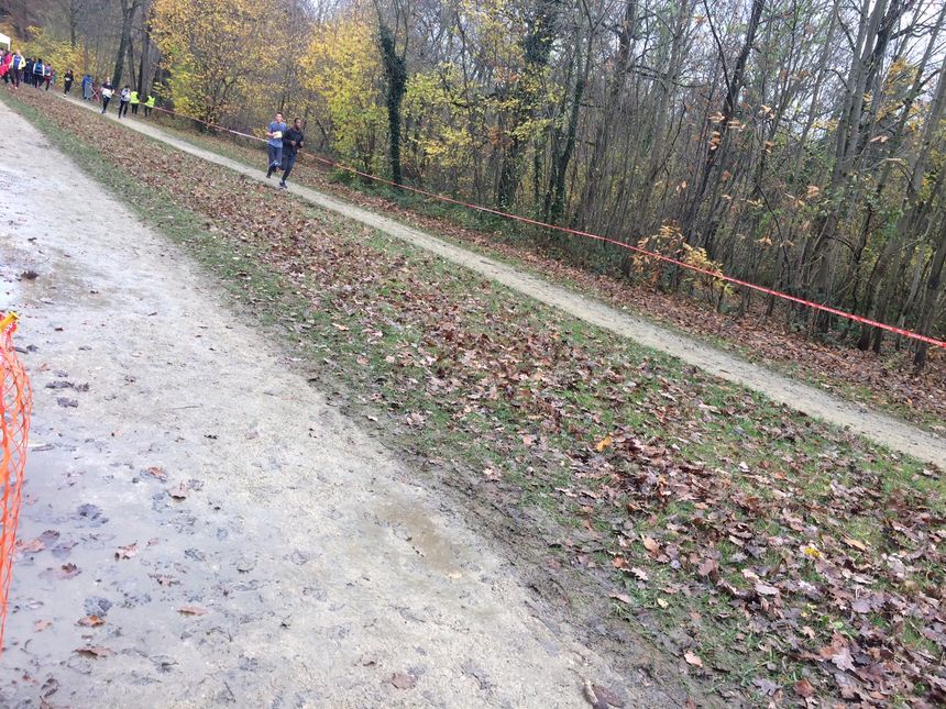 Le cross départemental UNSS 93 dans la gadoue
