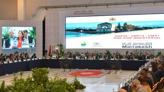 La pre-COP22 à Marrakech le 18 octobre 2016 ©AFP - STRINGER