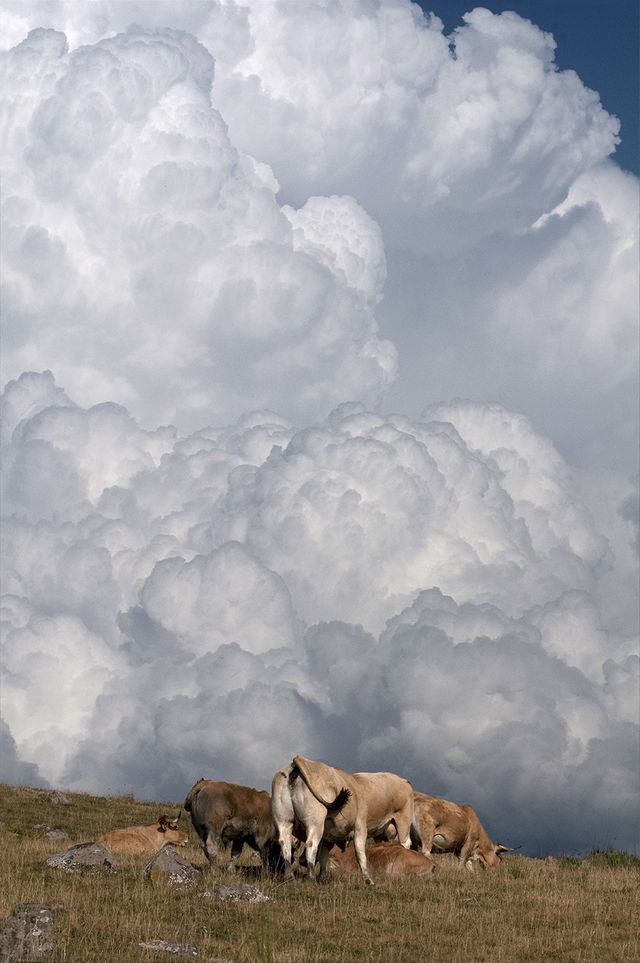 Avant l'orage