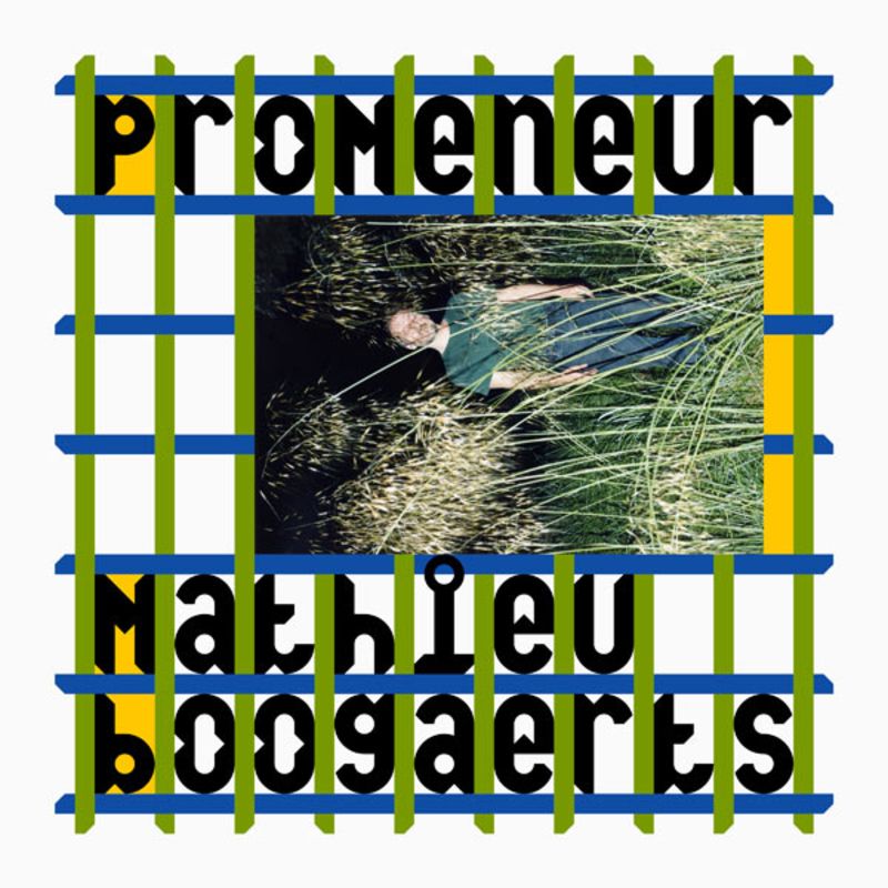 Promeneur, Mathieu Boogaerts, paru le 4 novembre dernier chez Tôt ou Tard