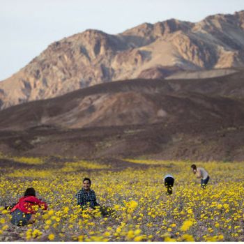 Dans la Vallée de la mort, près du Badwater Basin, en Calif