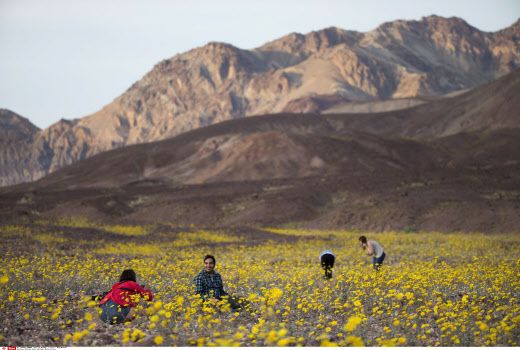 Dans la Vallée de la mort, près du Badwater Basin, en Calif