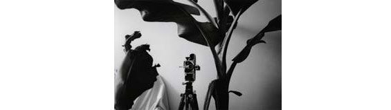 Hervé Guibert - Le Rêve du Cinéma