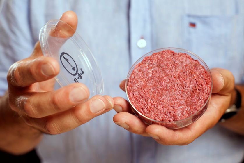 De la viande dans une boîte de Pétri : le chercheur néerlandais Mark Post est parvenu à cultiver de la viande in vitro.