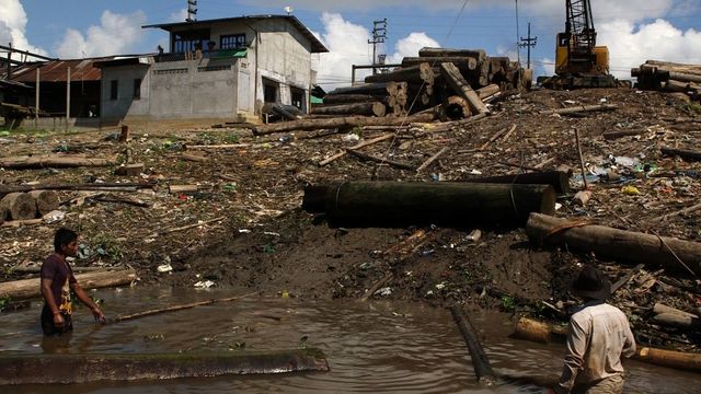 Ouvriers forestiers à Iquitos